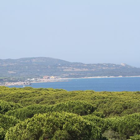 Club Esse Gallura Aglientu Bagian luar foto